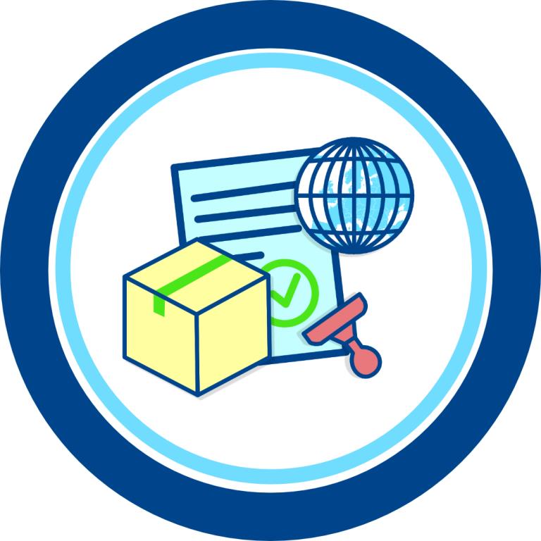 Customs Submission Icon